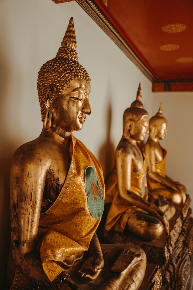 De Wijsheid van Gautam Buddha: Slechte Daden Vermijden