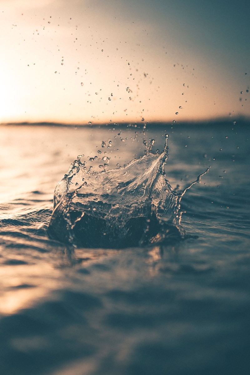 “De Wijsheid van Water: Een Diepgaande Les van Gautam Buddha”